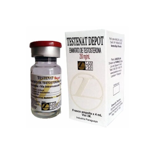 TESTENAT/ENANTATO LANDERLAN 250MG/4ML