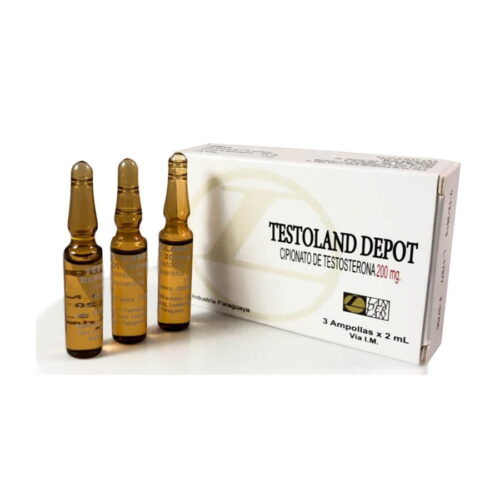 TESTOLAND DEPOSTERON LANDERLAN 200MG/6ML