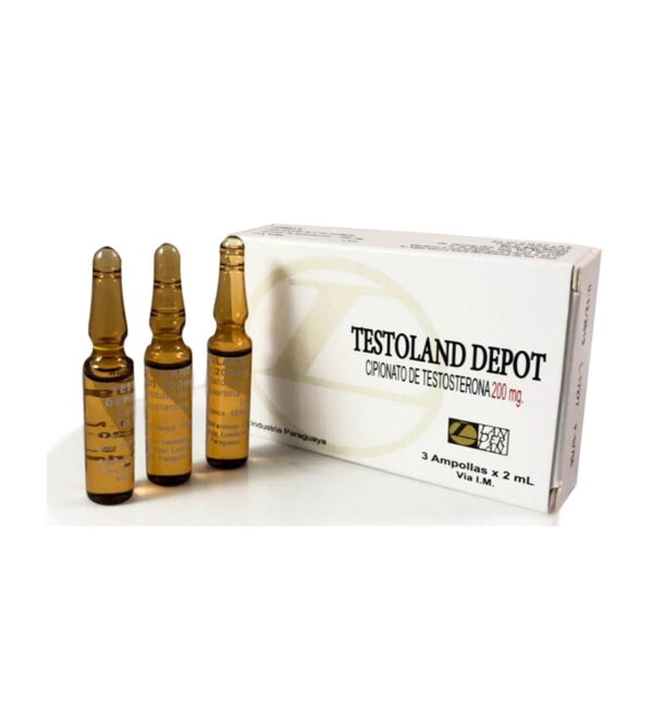 TESTOLAND DEPOSTERON LANDERLAN 200MG/6ML